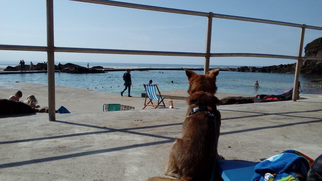 Atlantica Villa Бюд Екстериор снимка